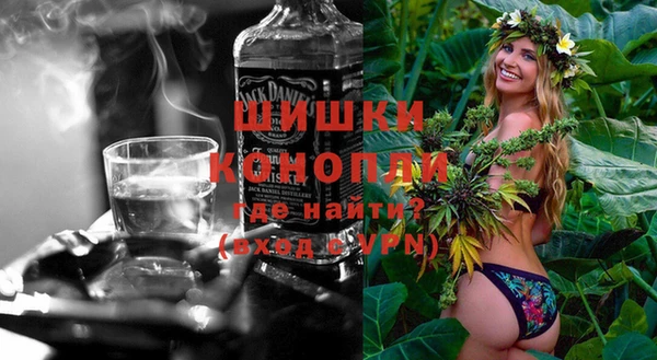 хмурый Лиски