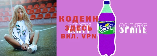 хмурый Лиски