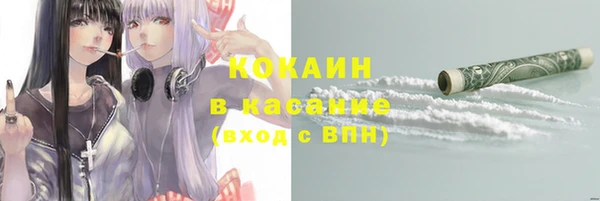 соль ск Липки