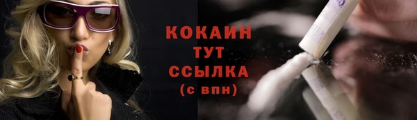соль ск Липки