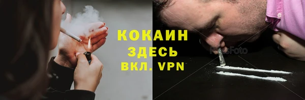 хмурый Лиски