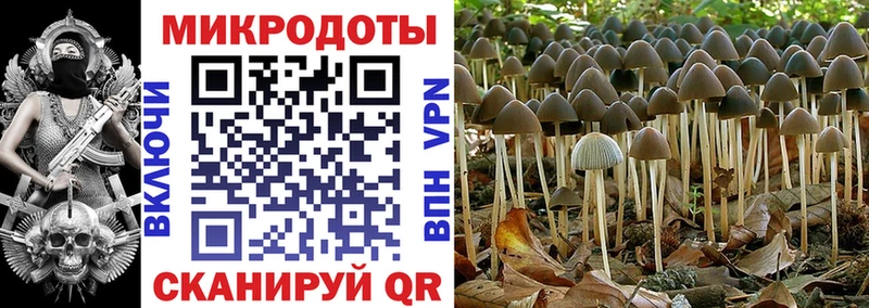 Псилоцибиновые грибы мухоморы Колпашево